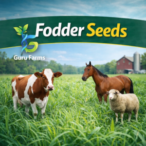Fodder Seeds