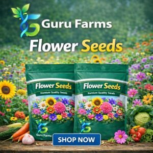 Flower Seeds