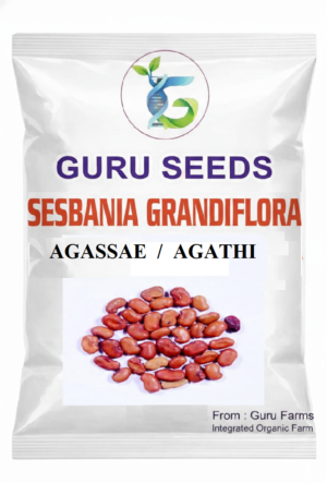 SESBANIA GRANDIFLORA.