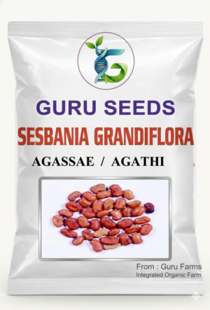 SESBANIA GRANDIFLORA.