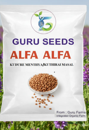 KUDURE MENTHE .ALFA ALFA