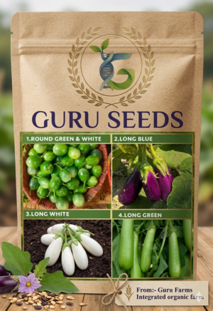 PACK OF 4 NATIVE BRINJIAL VARIETIES.