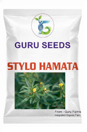 STYLO HAMATA 1 KG
