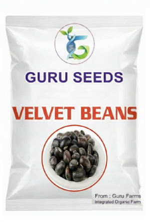 VELVET BEANS