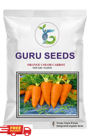 Orange Red Carrot Seeds - 1000 Seeds