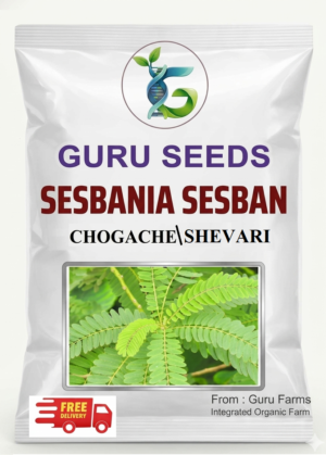Sesbania Sesban, Fodder Tree, Shevari Seed.