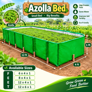 12 x 4 x 1 Feet 450 GSM HDPE Azolla Bed