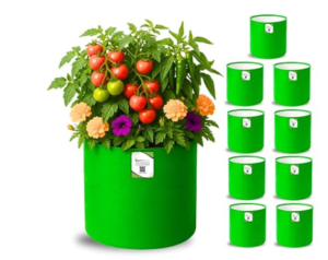 05set of 260gsm 12x 12 size grow bags for terrace gardening and vegetables growing.