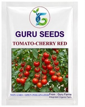 Cherry Tomato Seeds